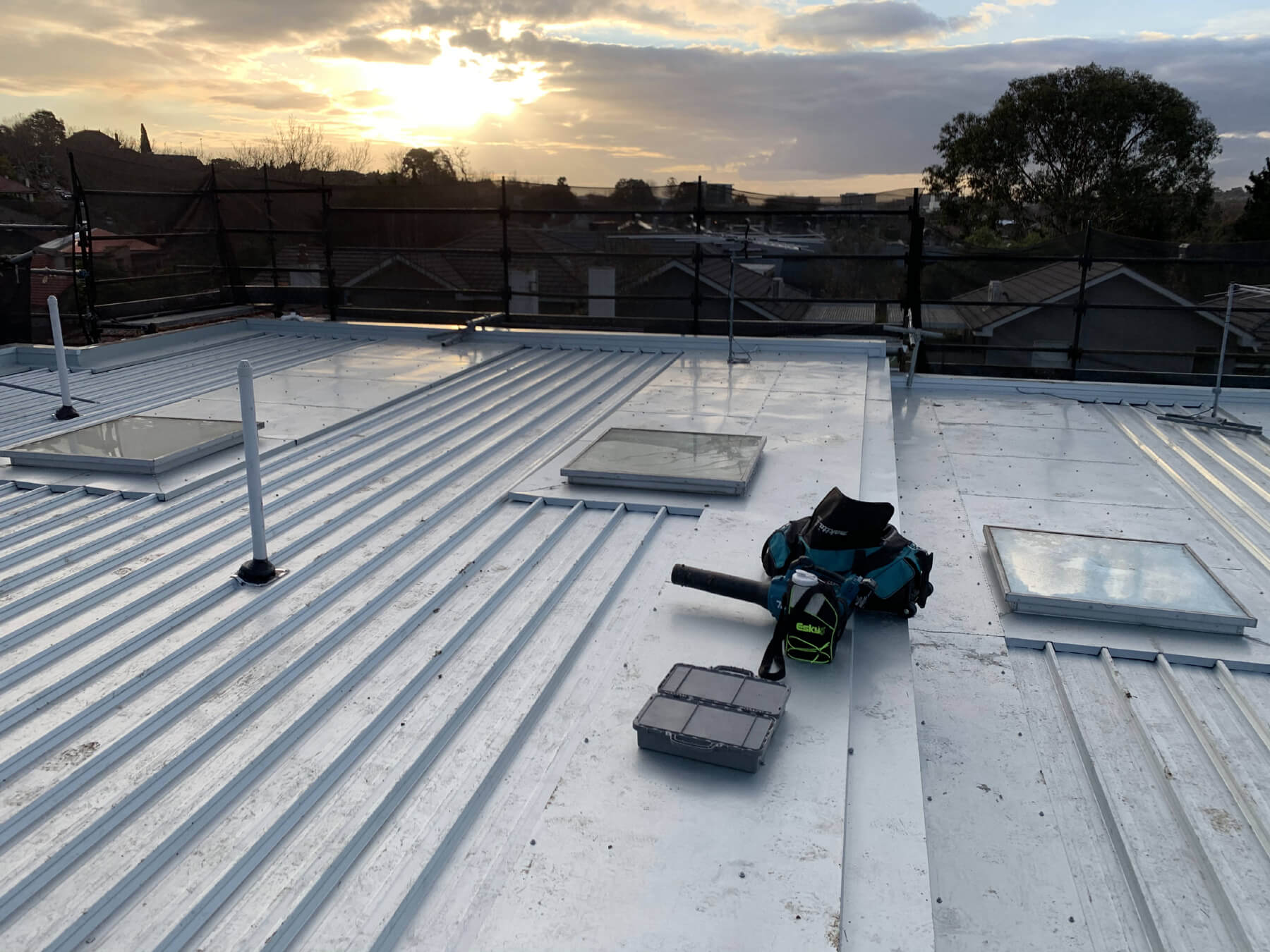 Roof Cleaning 
